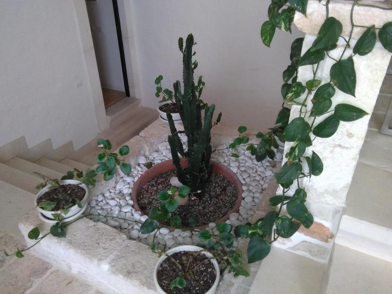 Arcobello Suite Rooms Castellana Grotte Bagian luar foto